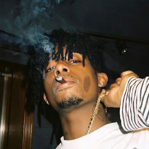 Meet your Posher, Brock